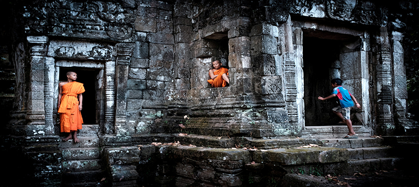 Cambodia & Alliance Wildlife