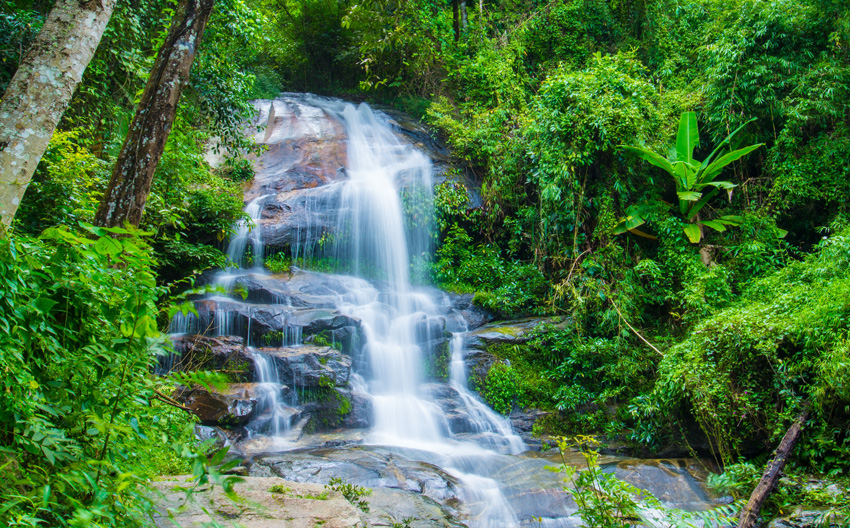 Doi Suthep - Temple and National Park