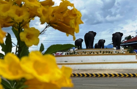 Discover Southeast Asia