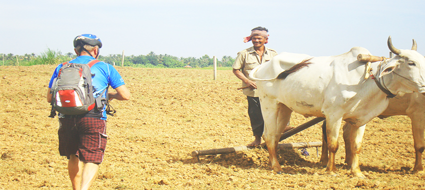 The Mekong Island on Bicycle