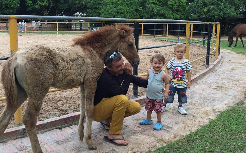 Happy Ranch Horse Farm