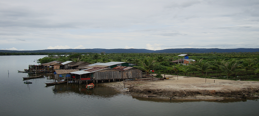 Cambodia & Alliance Wildlife