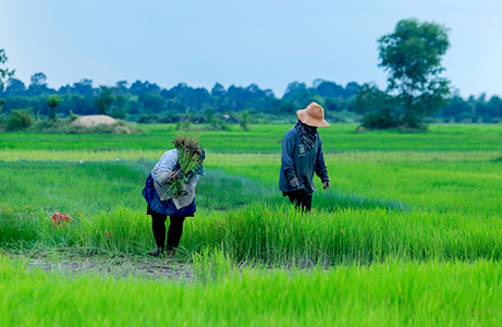 Cambodia Mekong Trail