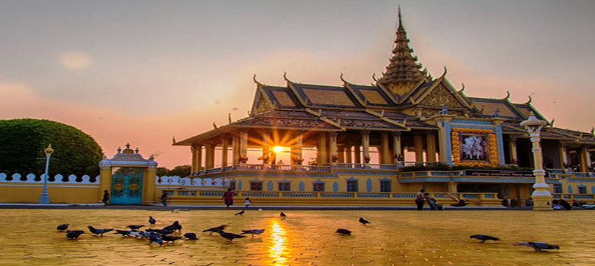 Cambodia & Alliance Wildlife