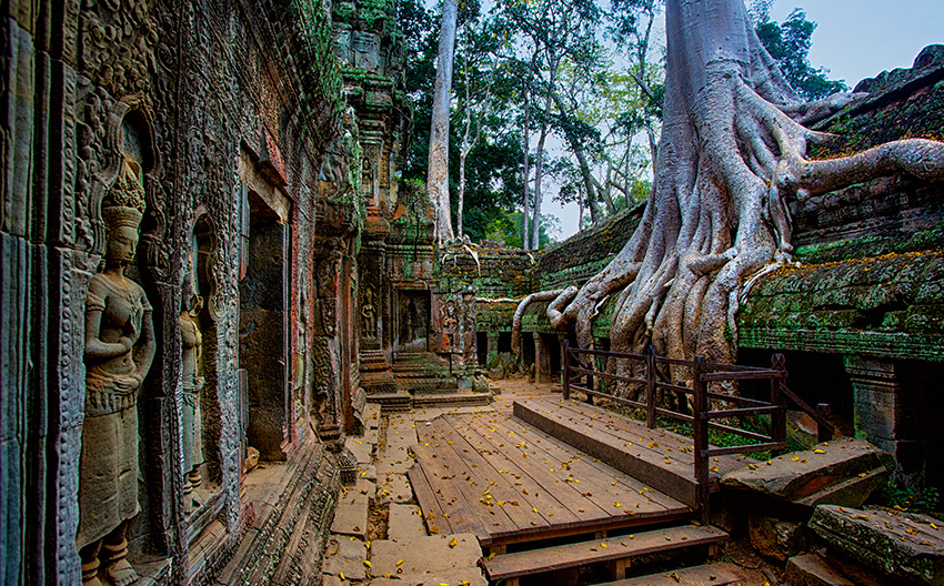 Ta Prohm